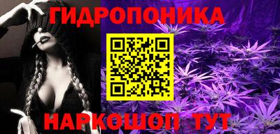 гидра Моздок